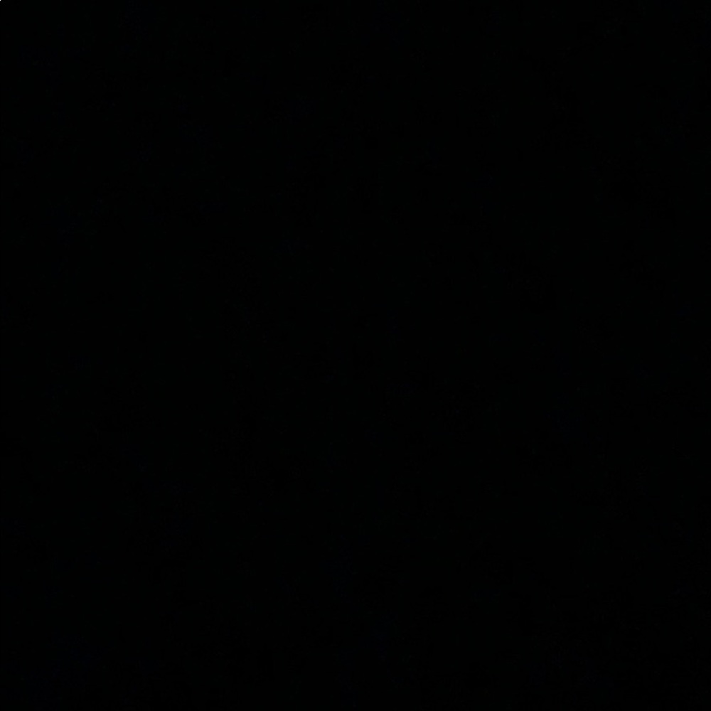 Meet your Posher, Ddaniela